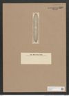 Navicula probabilis Schm. (de-Toni-Nr.: Genus 1, Species 562) Zeichnungen Sammlung Grunow Nr. 1109 (NHMW-BOT-W0367677)